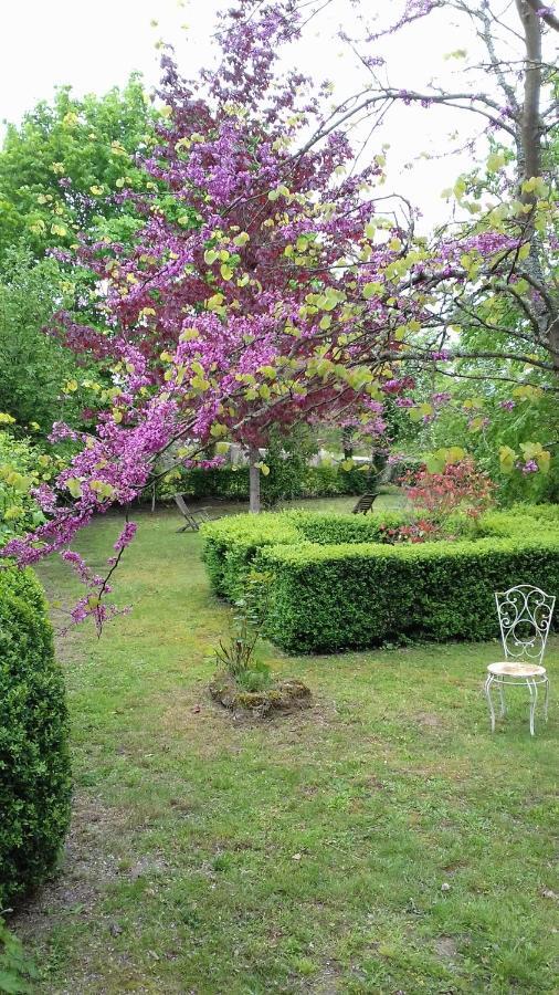 Manoir De La Chapelle Bed and Breakfast Condé-sur-Sarthe Exteriör bild